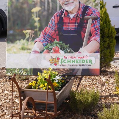 Schneider: Obst - Gemüse - Südfrüchte